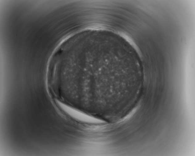 X0000088140845200706042007