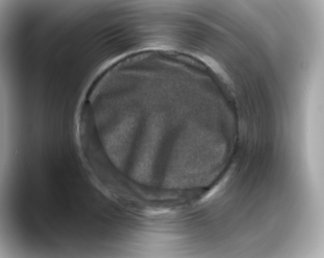 X0000088140846200706042007