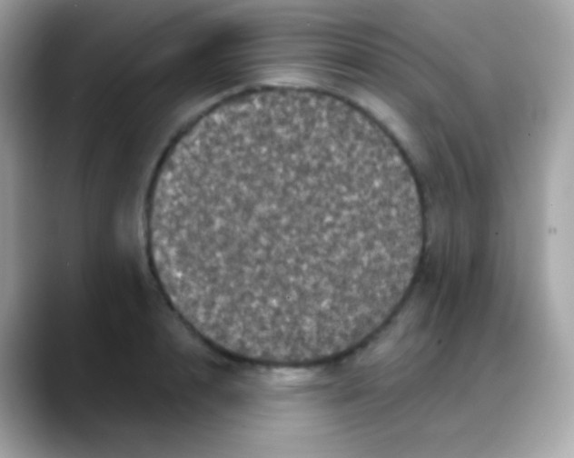 X0000088140848200706042007