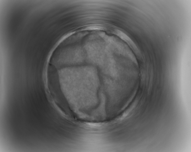 X0000088140852200706042007