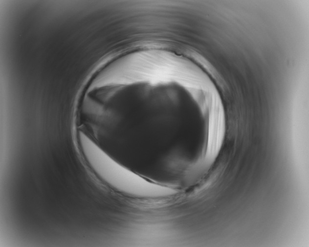 X0000088140853200706042007