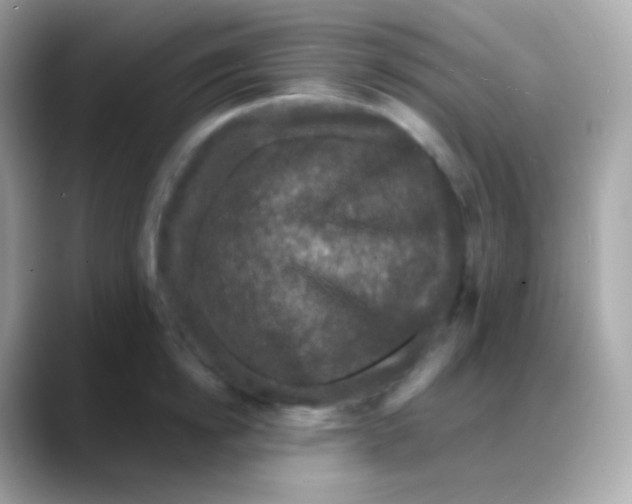 X0000088140854200706042007