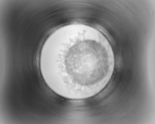 X0000088140856200706042007