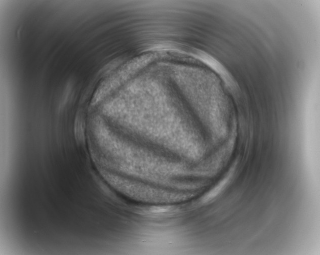 X0000088140857200706042007