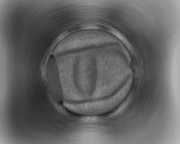 X0000088140858200706042007