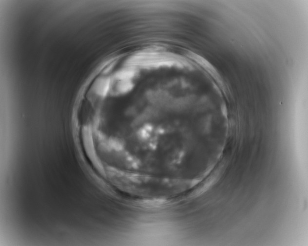 X0000088140859200706042007