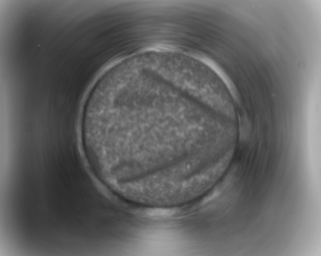 X0000088140861200706042007