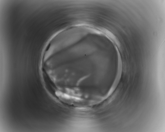 X0000088140863200706042008