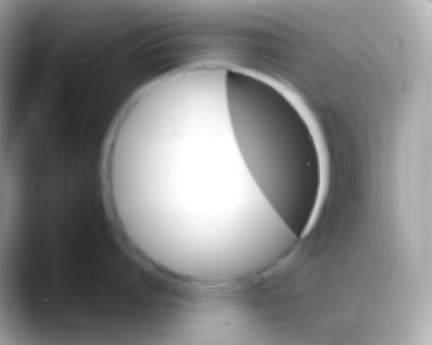 X0000088140864200706042008