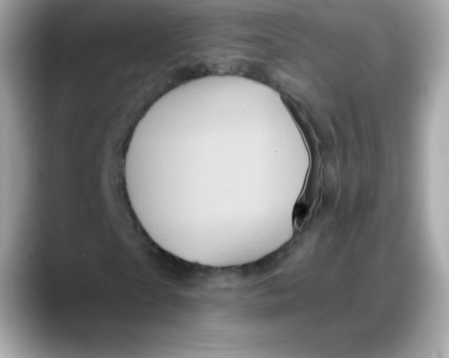 X0000088140865200706042007