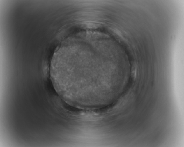 X0000088140866200706042007