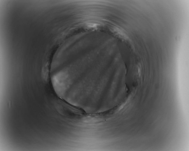 X0000088140868200706042007