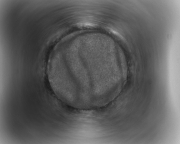 X0000088140870200706042007