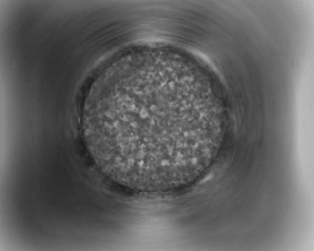 X0000088140871200706042007