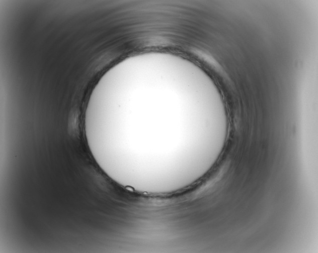 X0000088140873200706042007