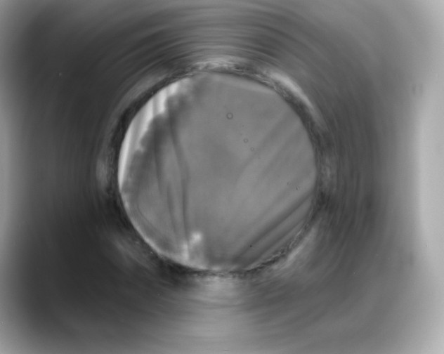 X0000088140874200706042007