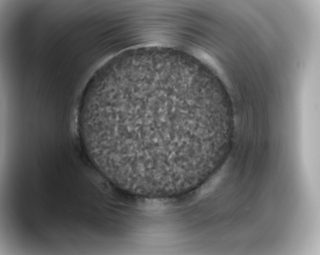 X0000088140875200706042007