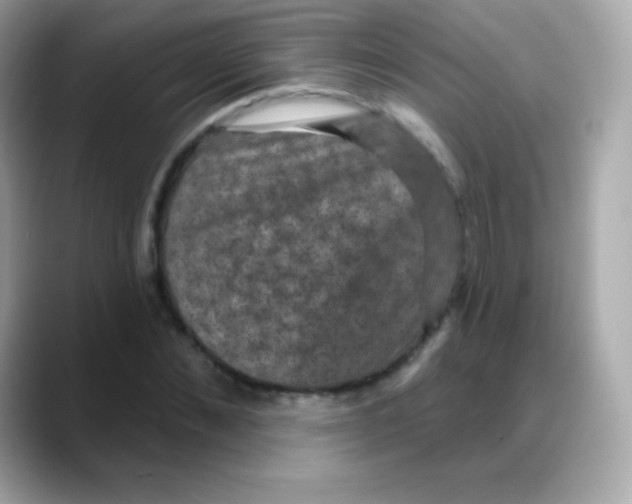 X0000088140876200706042007