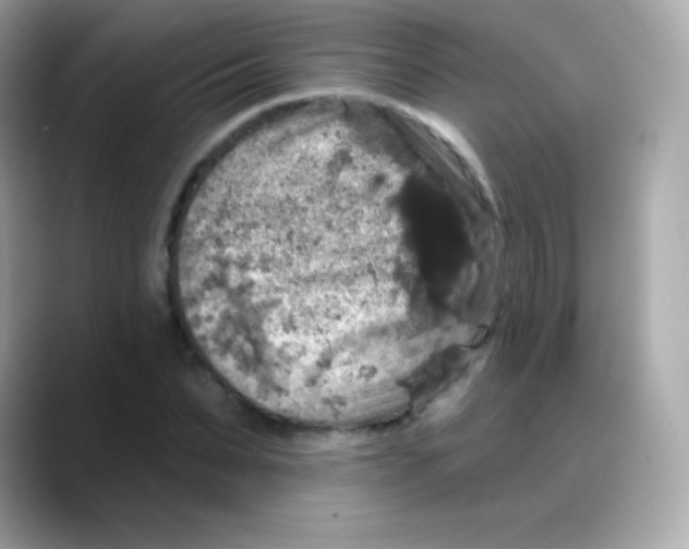 X0000088140879200706042007