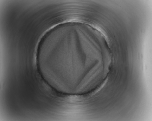 X0000088140880200706042007