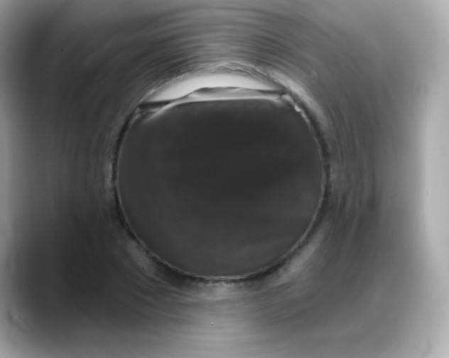 X0000088140881200706042007