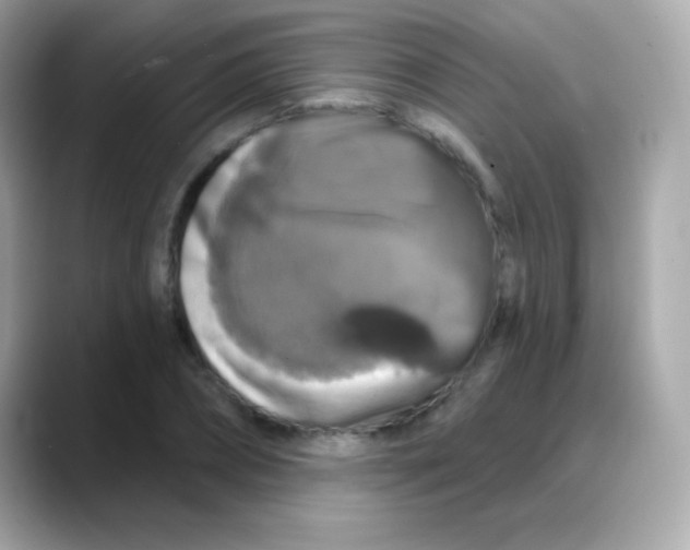 X0000088140882200706042007