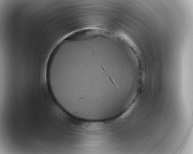 X0000088140884200706042007