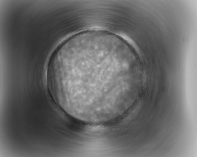 X0000088140886200706042007