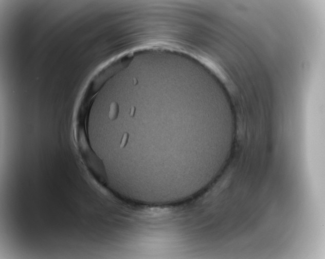 X0000088140888200706042007