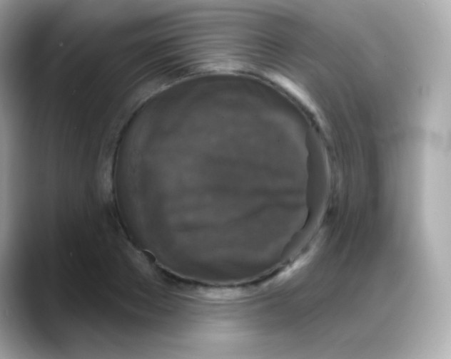 X0000088140889200706042007