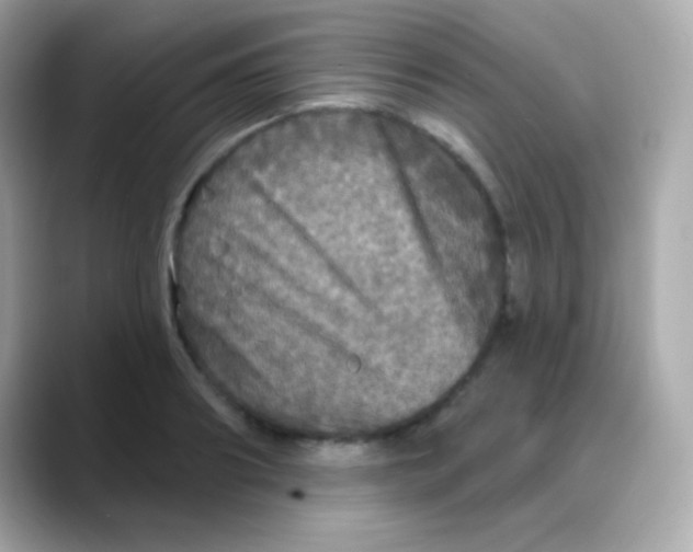 X0000088140890200706042007