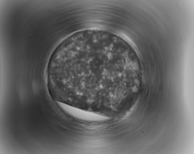 X0000088140891200706042007