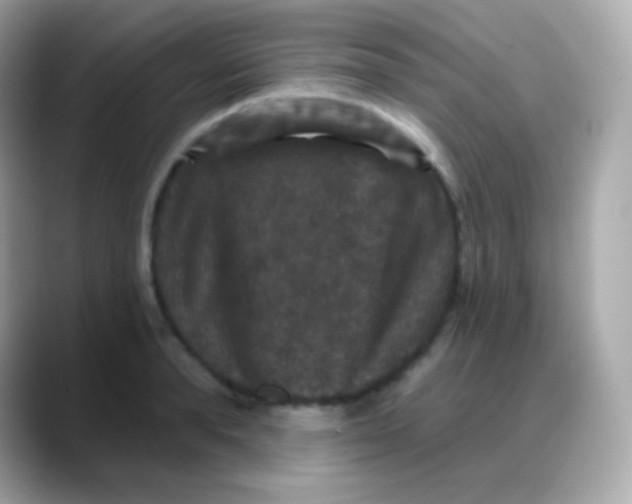 X0000088140896200706042006