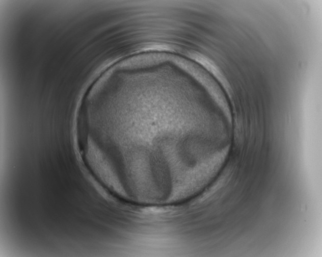 X0000088140898200706042006