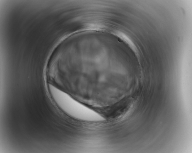 X0000088140899200706042006