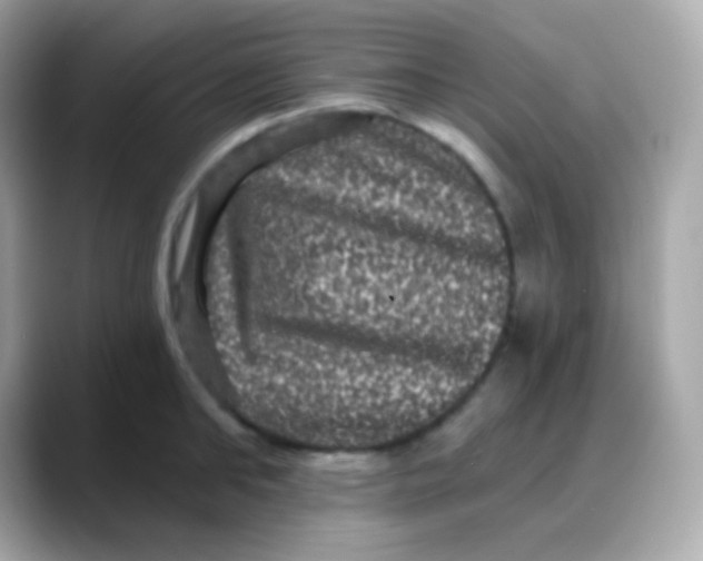 X0000088140902200706042006