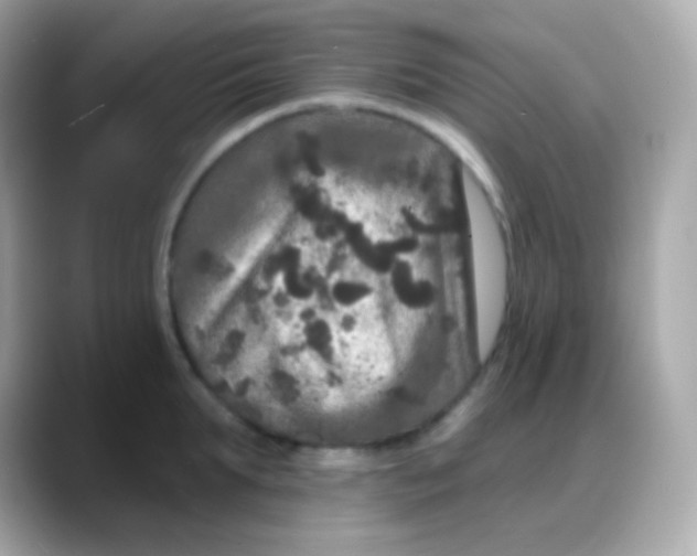 X0000088140903200706042006