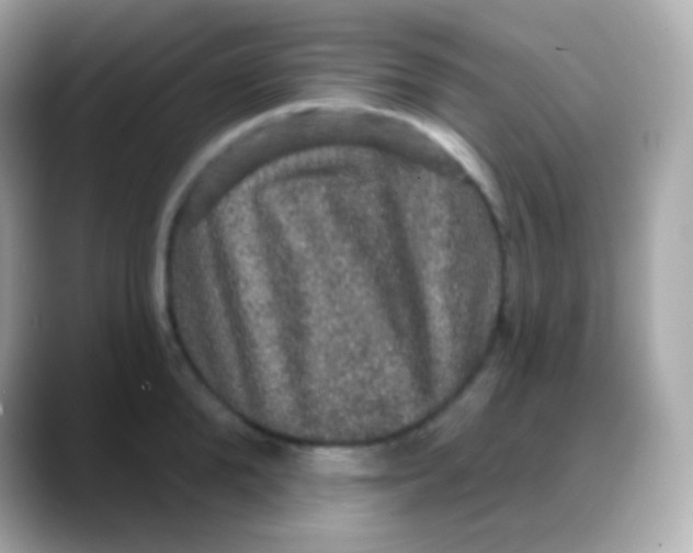 X0000088140904200706042006