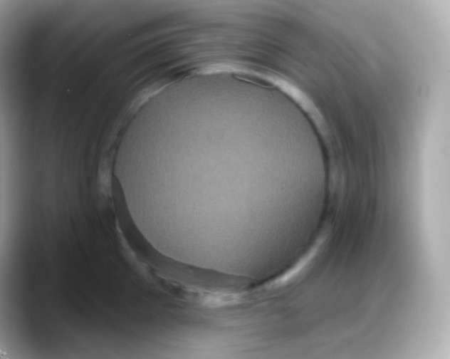 X0000088140905200706042006