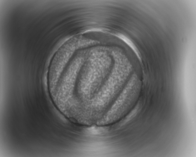 X0000088140906200706042006