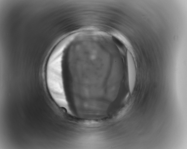 X0000088140907200706042006