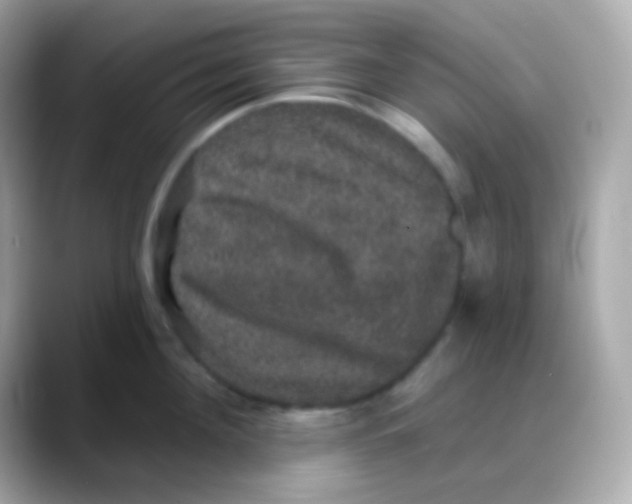 X0000088140908200706042006