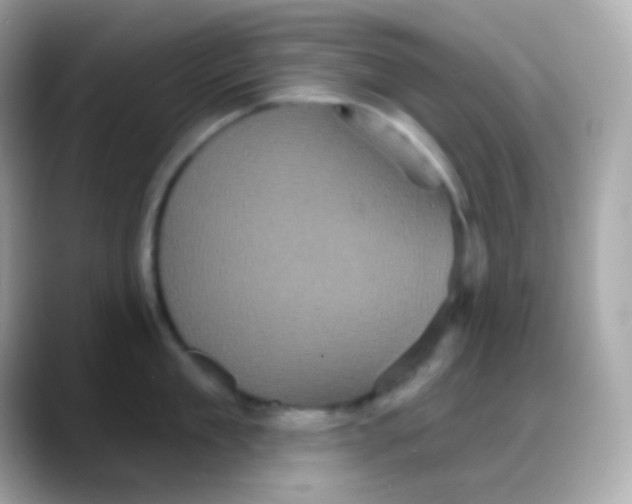 X0000088140909200706042006