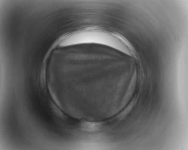 X0000088140910200706042006