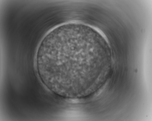 X0000088140911200706042006