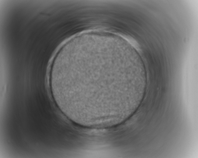 X0000088140912200706042006