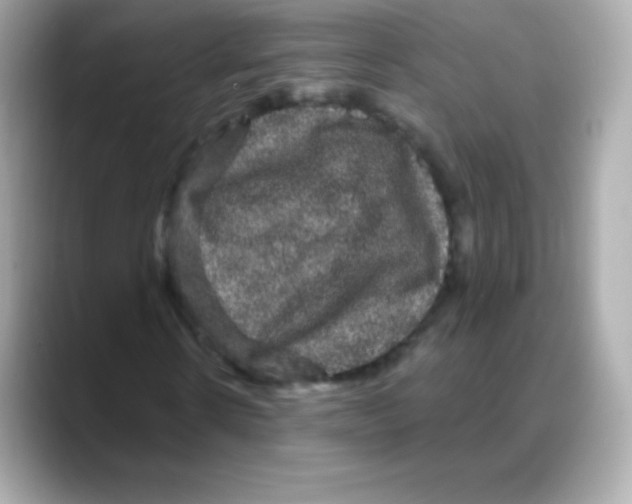 X0000088140914200706042006