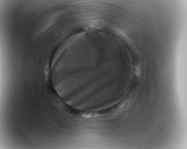 X0000088140915200706042006