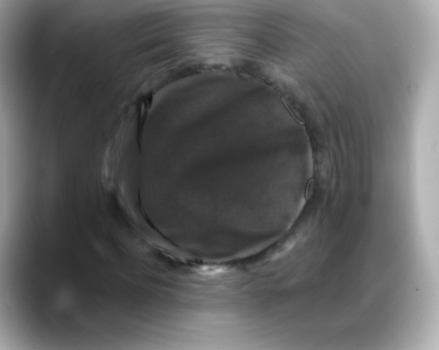 X0000088140916200706042006