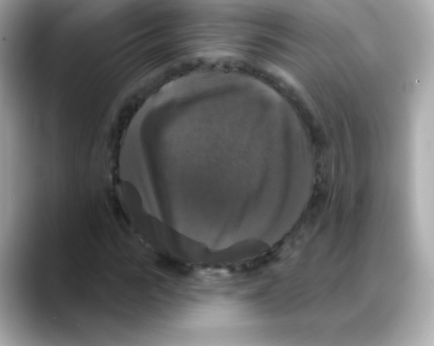 X0000088140919200706042006